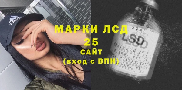 прущий лед Горняк